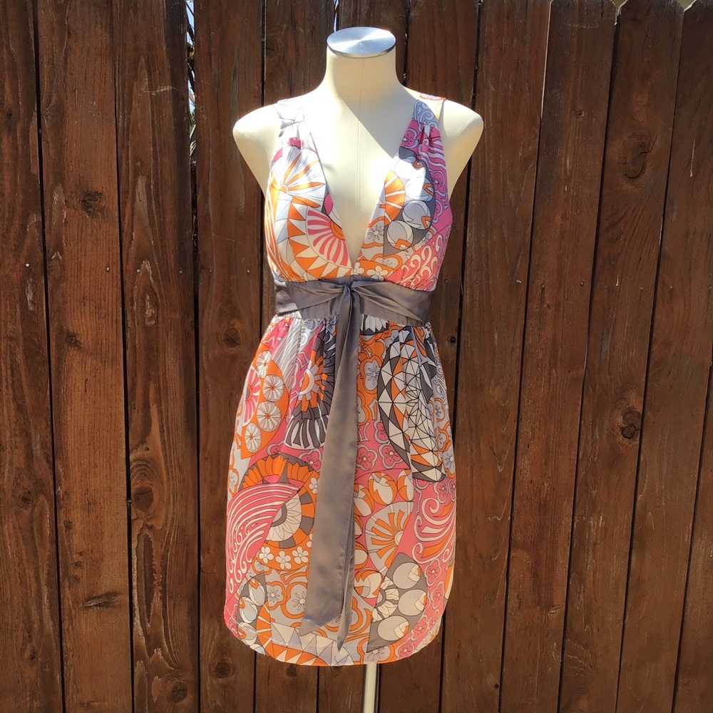 🔥Arden B. Silk Dress